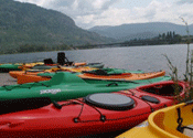 kayaks for sale